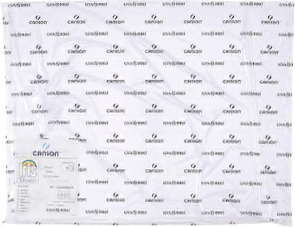 CARTULINA 50X65 - GUARRO