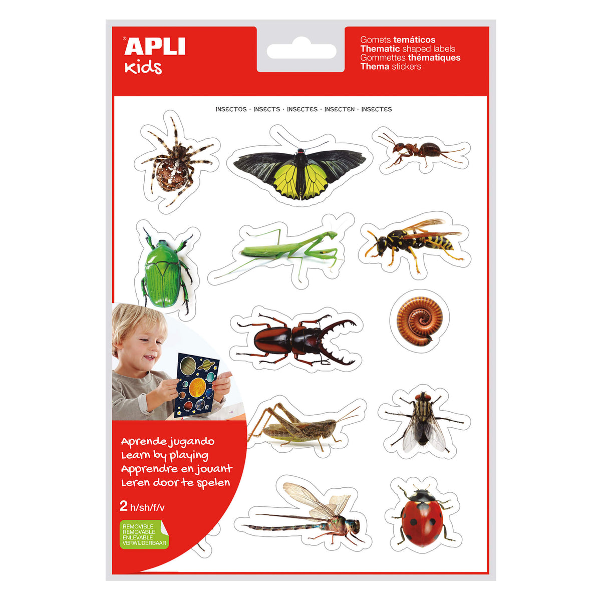 SOBRE GOMETS INSECTOS 2H - APLI